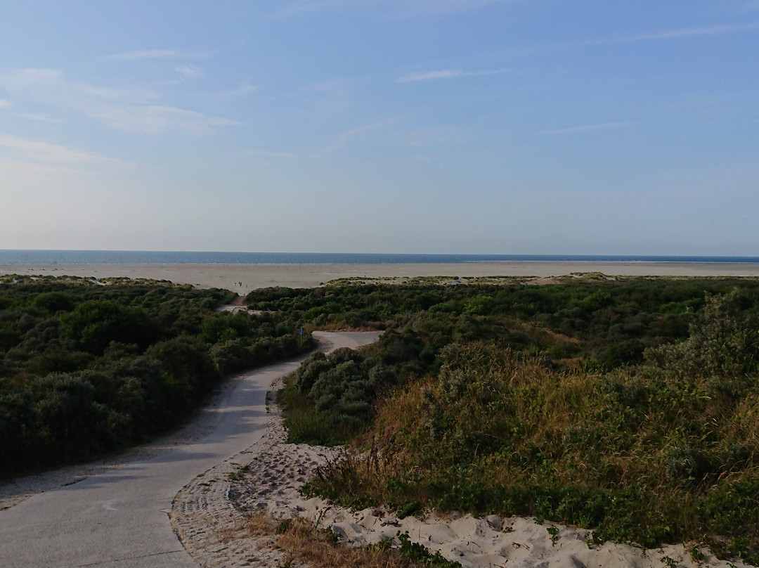 Camping de Duinhoeve