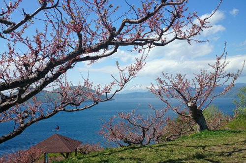 Sobetsu Park-壮瞥町必去景点