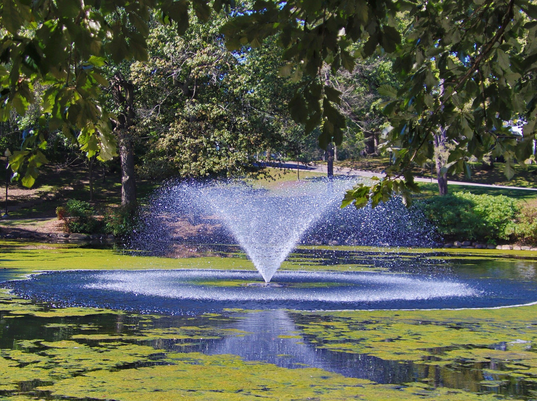 Lords Park-埃尔金必去景点
