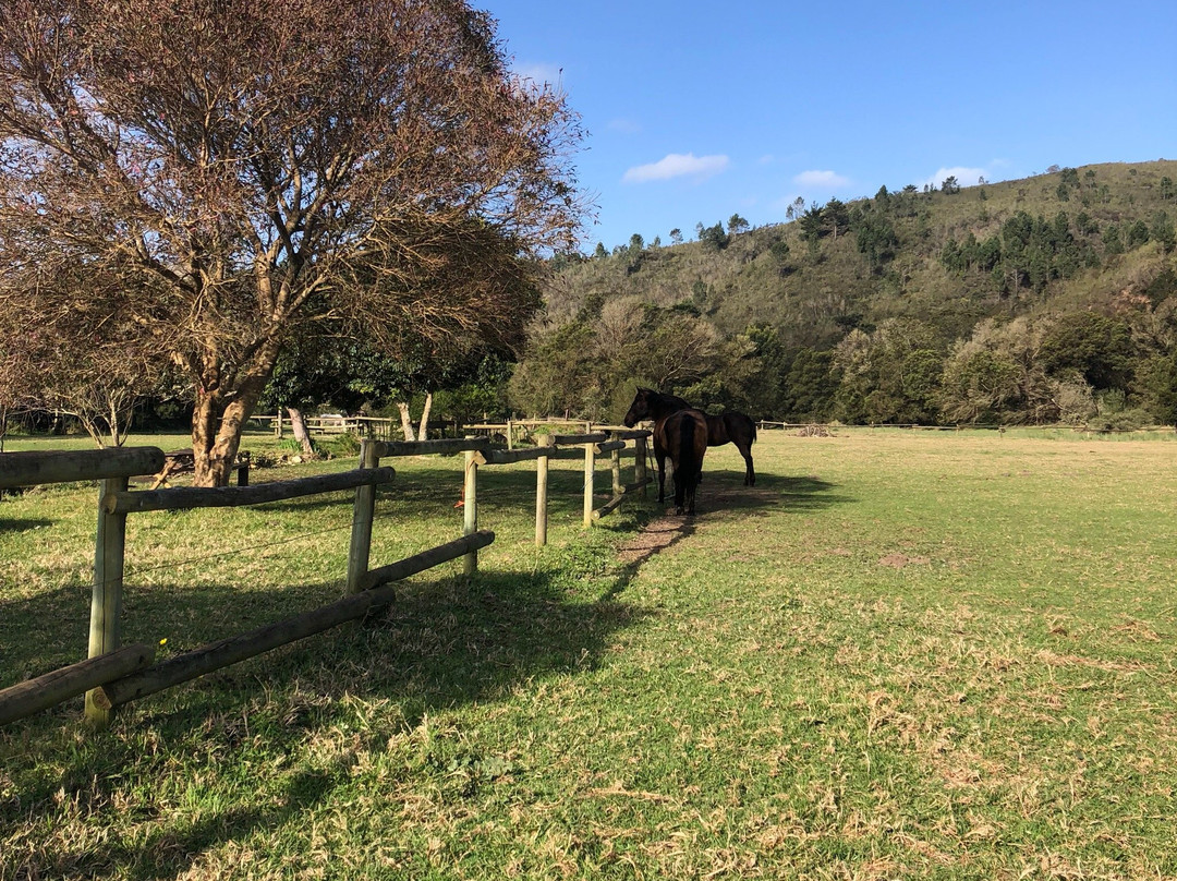 Boschrivier Farm & Stables-Wittedrift必去景点