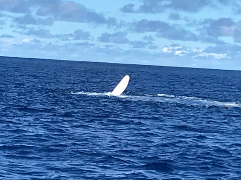 Rurutu Reefs-Rurutu必去景点