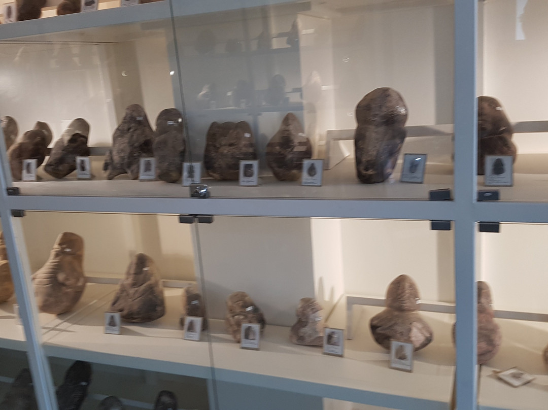 Book Museum cum Ethnology Center-马利仅那必去景点