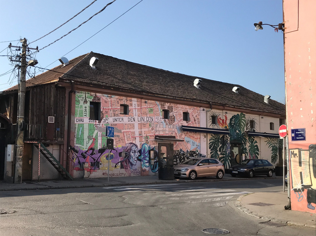 Street Up - Belgrade Street Art Tours-贝尔格莱德必去景点