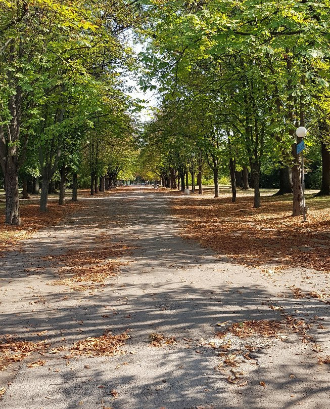 Mladezhki Park景点图片