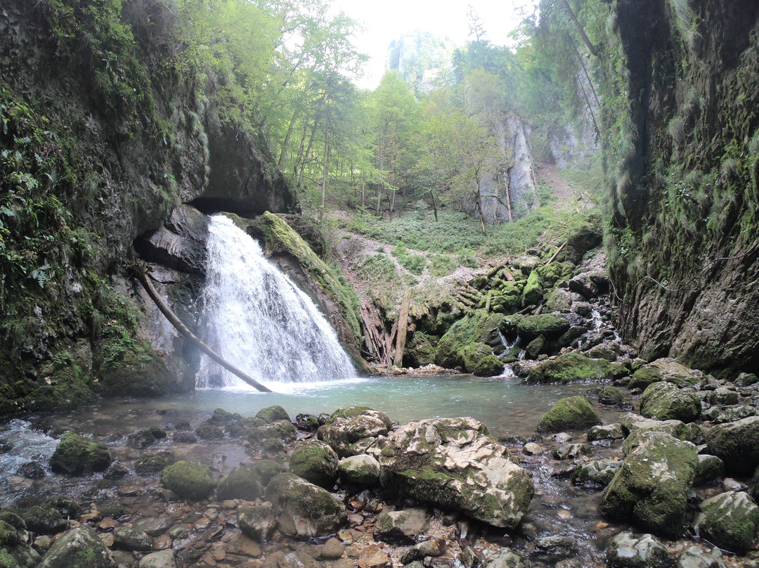 Apuseni Natural Park景点图片