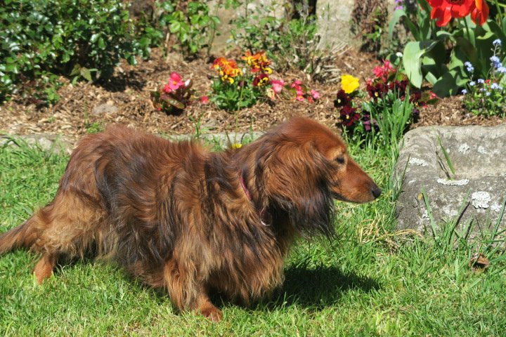 A la Ferme Cosquer主图