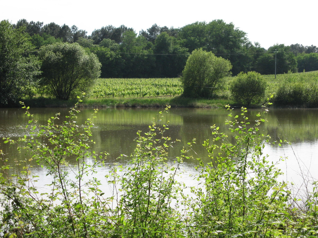 Ecomusée de l'Armagnac au Château Garreau-Labastide-d'Armagnac必去景点