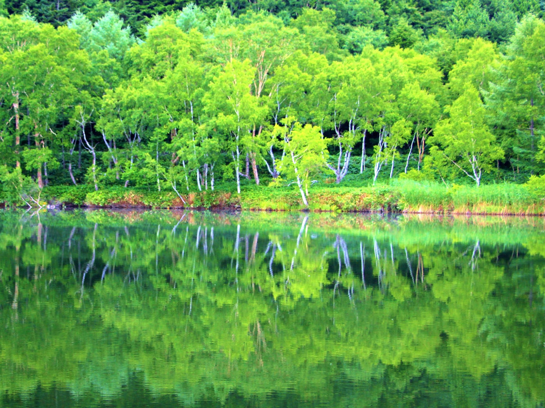 Kido Pond景点图片