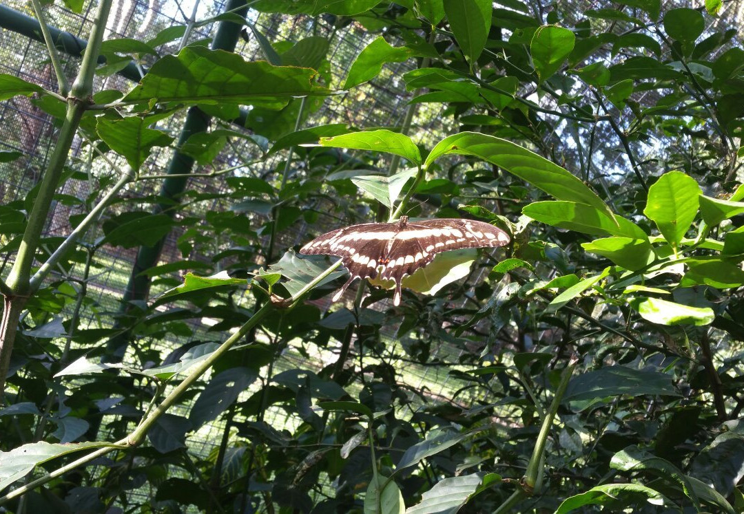 Parque Machia-Villa Tunari必去景点