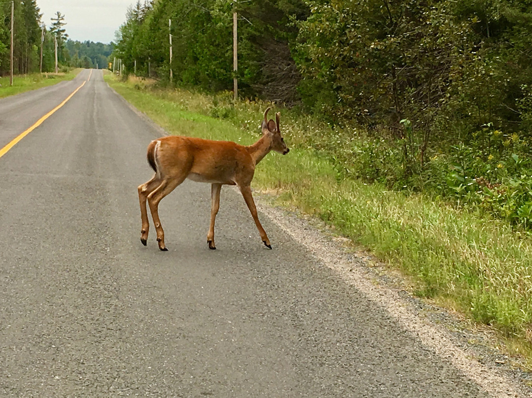 Sunnyside Bed & Breakfast主图