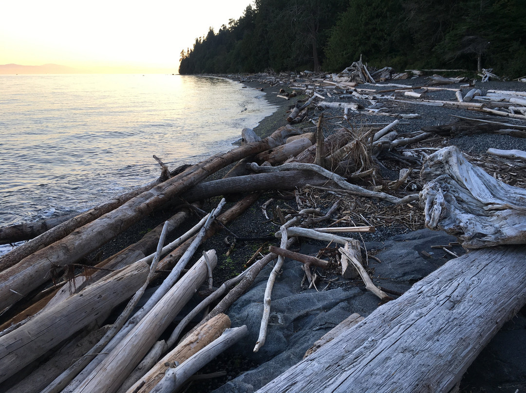 Secret Beach B&B Suites主图