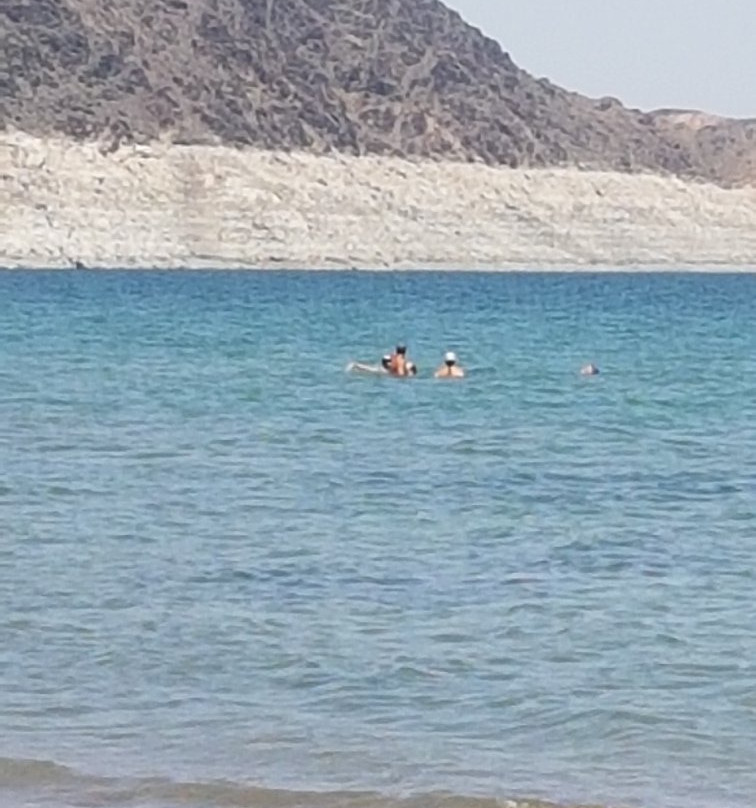 Boulder Beach Campground (Lake Mead National Recreation Area)景点图片