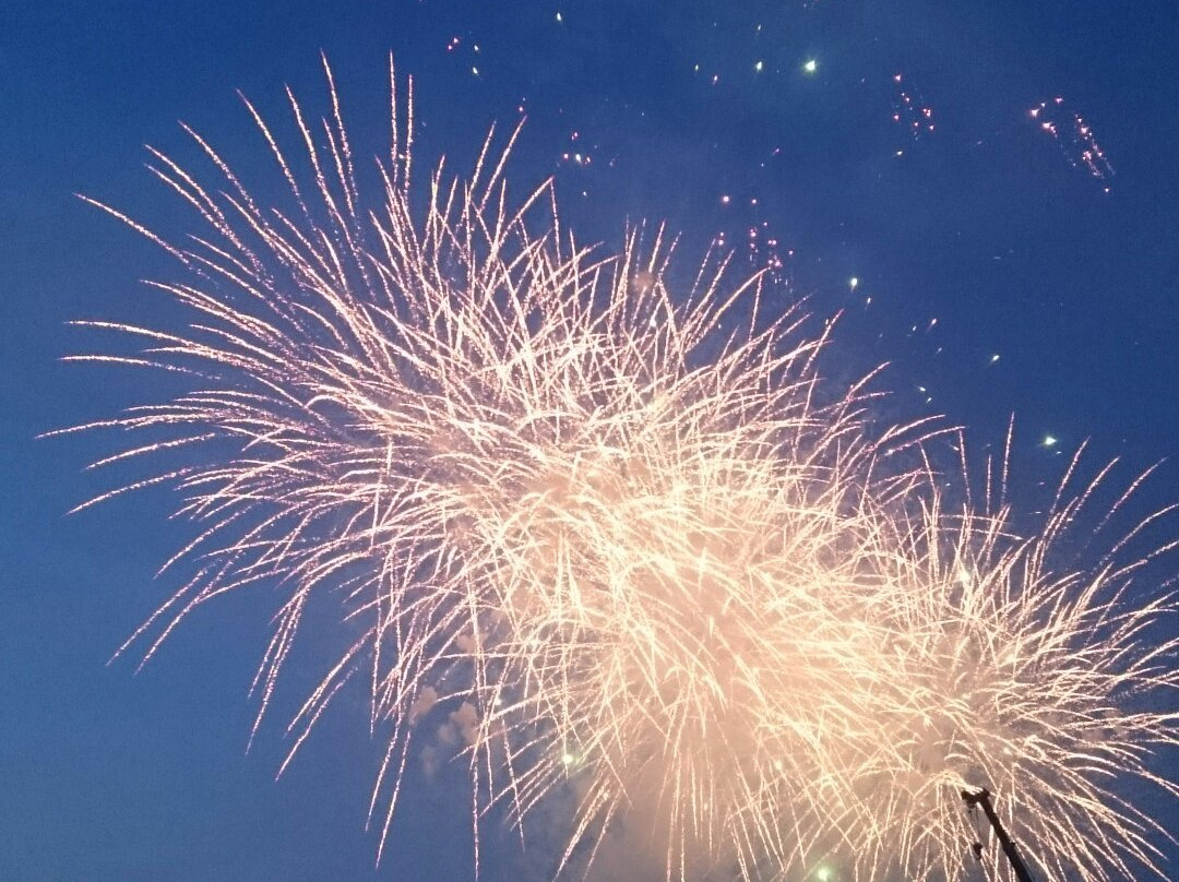 Fukuroi Enshu Fireworks景点图片