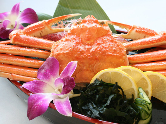 诺图吉健康酒店主图