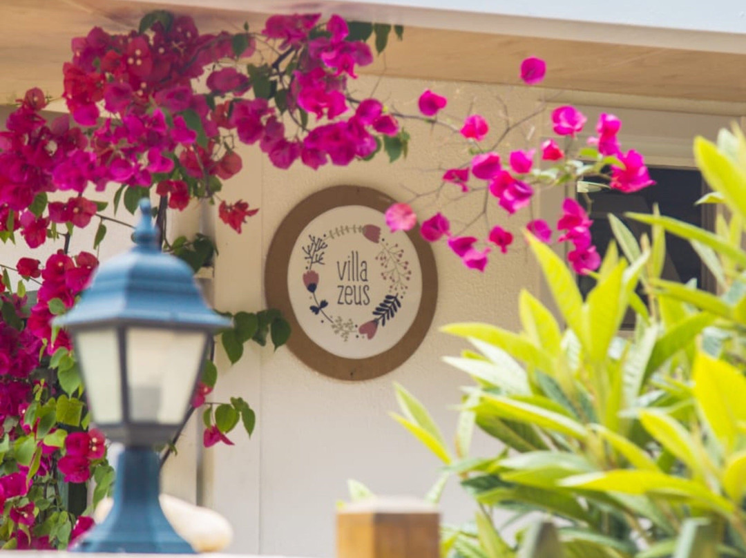 Villa Zeus Otel主图