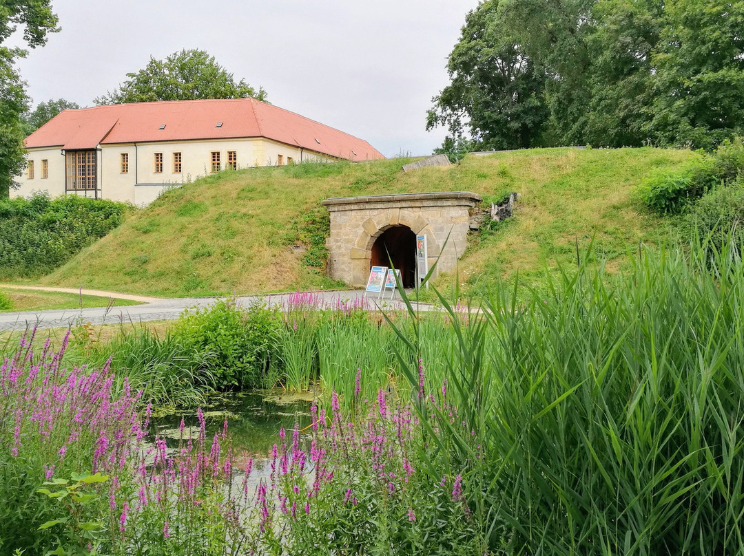 Schloss und Festung Senftenberg景点图片