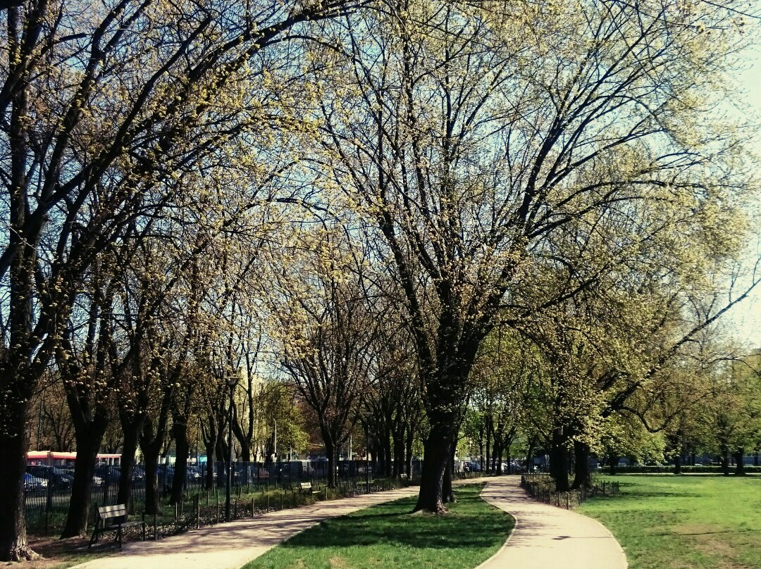 Park im. Józefa Polińskiego景点图片