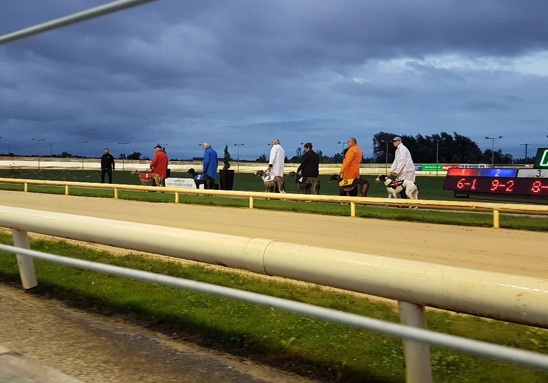 Limerick Greyhound Stadium-利默里克必去景点