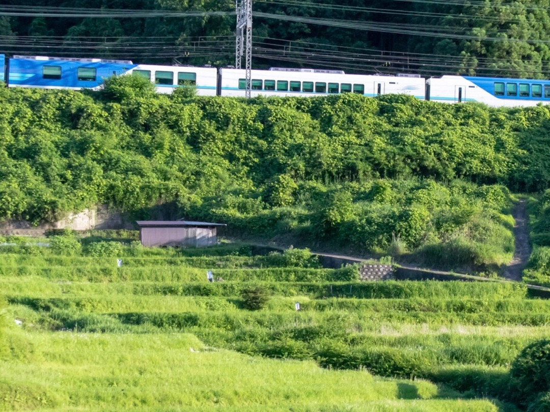 Namba旅游攻略图片