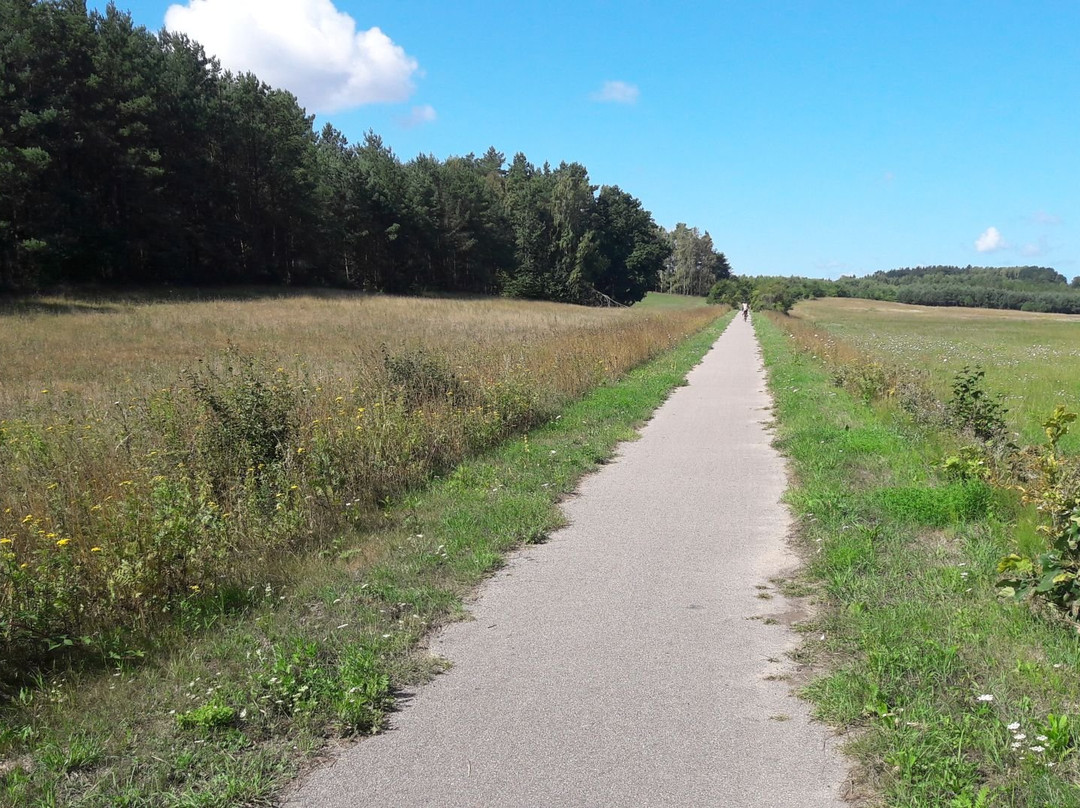 Swarzewo - Krokowa bicycle path景点图片