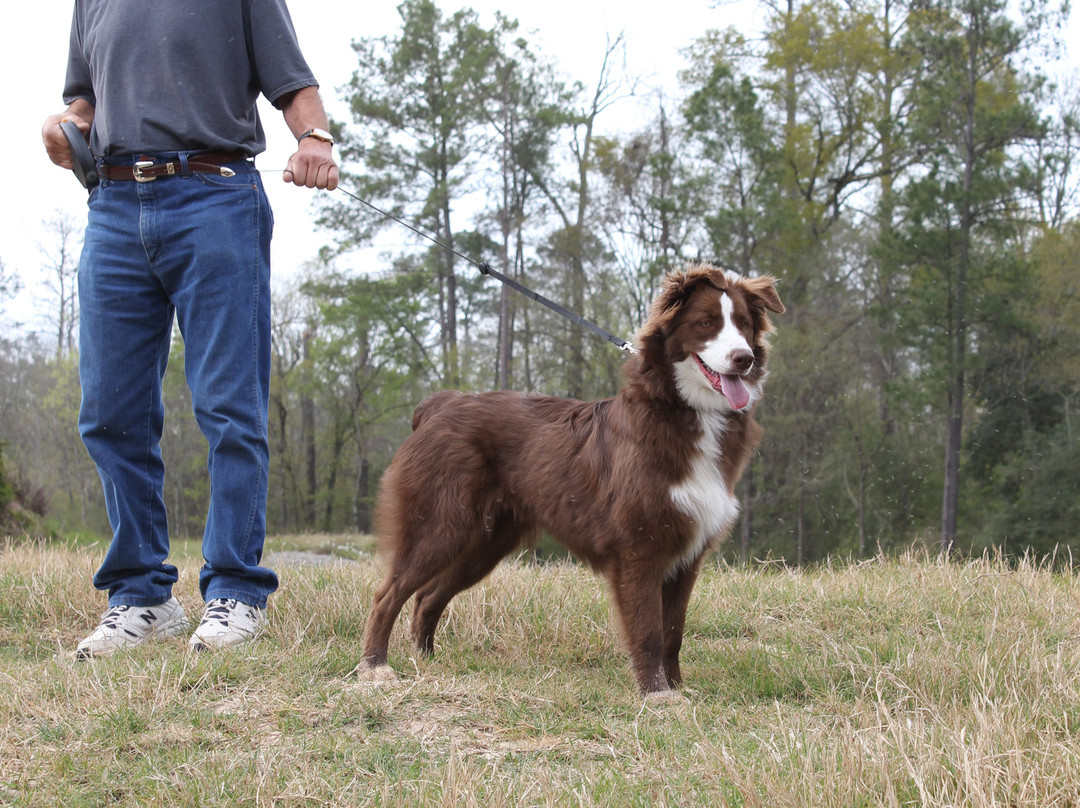 Spring Creek Greenway-斯普林必去景点