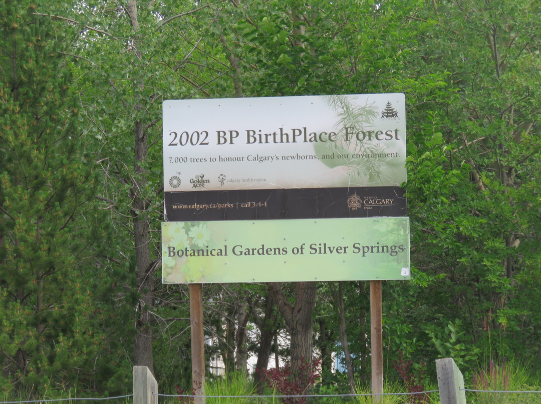 Botanical Gardens of Silver Springs景点图片