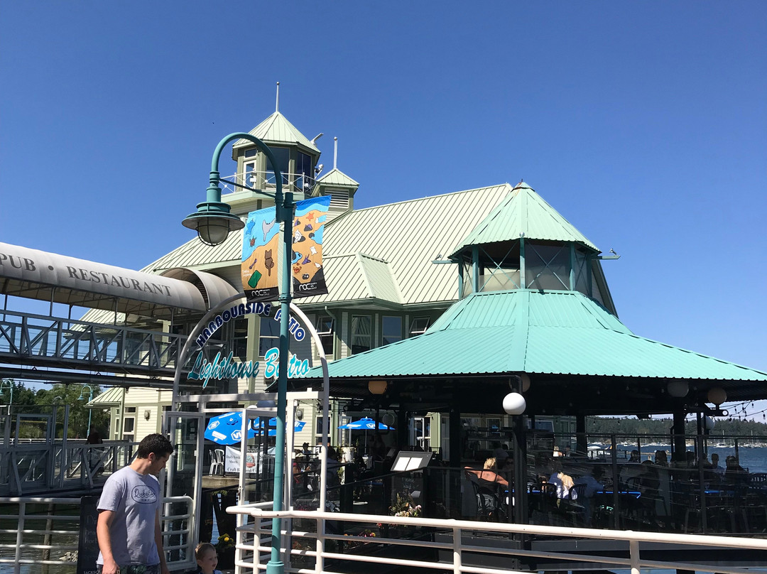 Harbour Air Seaplanes-纳奈莫必去景点