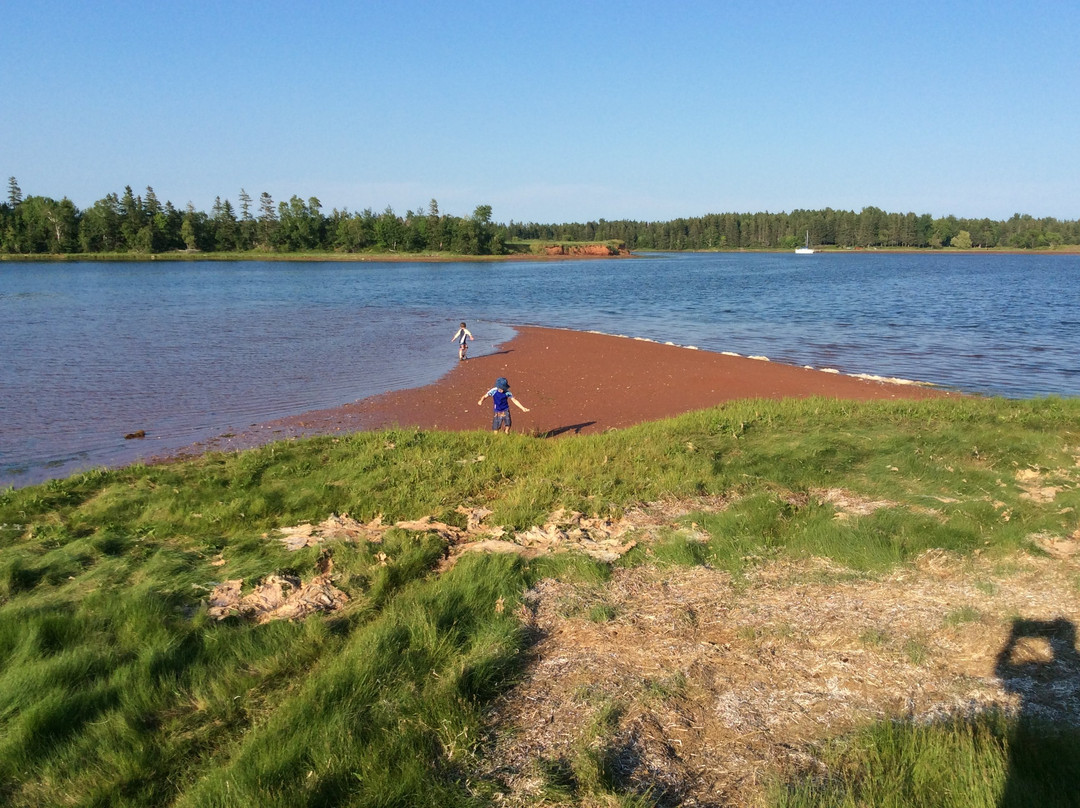 Briarwood Coastal Cottages & Lodge主图