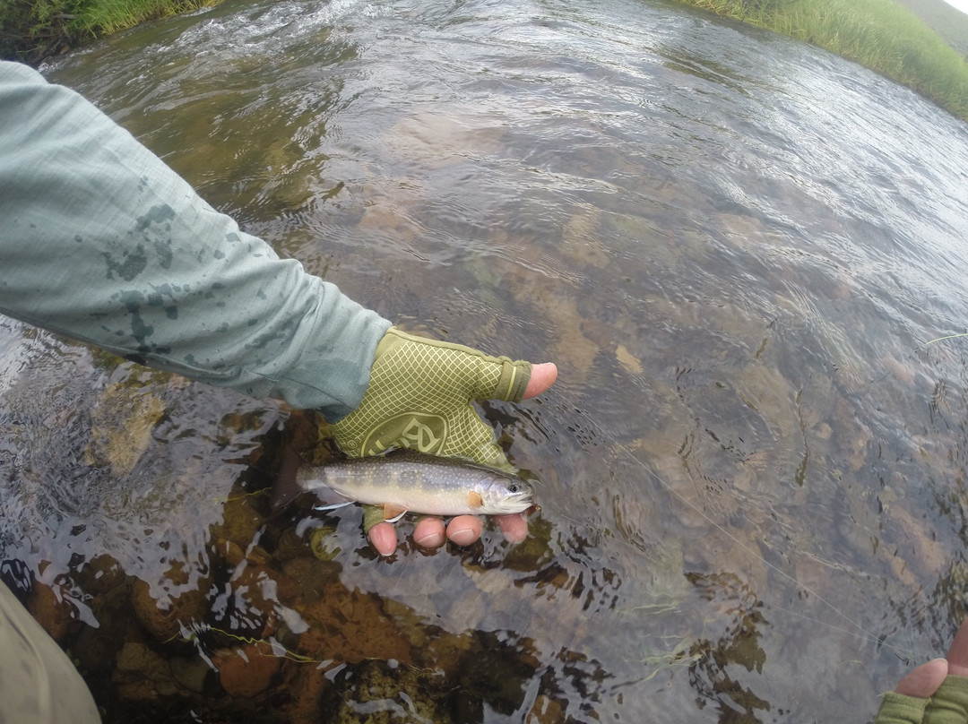 Parks' Fly Shop-加德纳必去景点