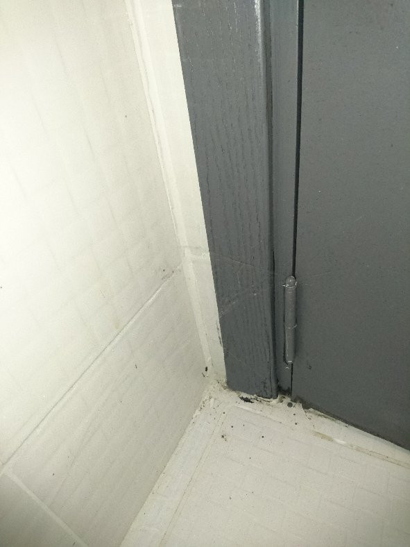 Hotel Club Fiord主图