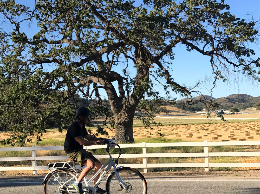 Pedego 101 Electric Bikes景点图片