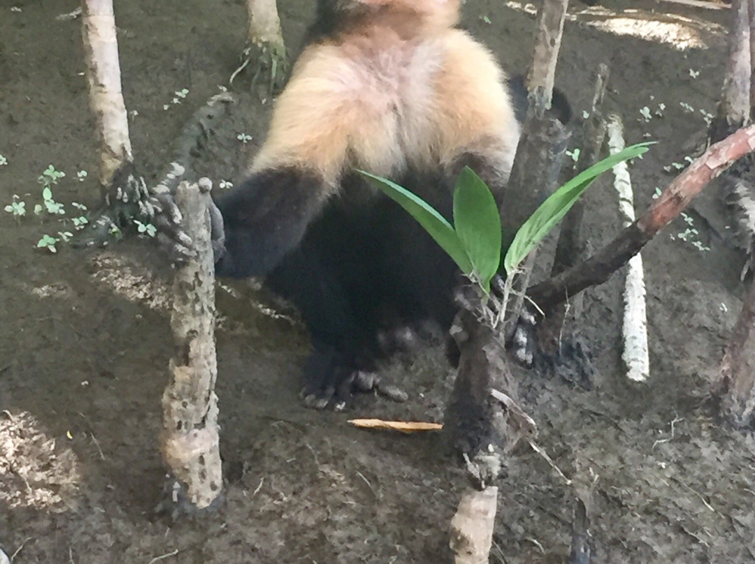 Red Pacific Sunset - Alex Tours-波特雷罗必去景点
