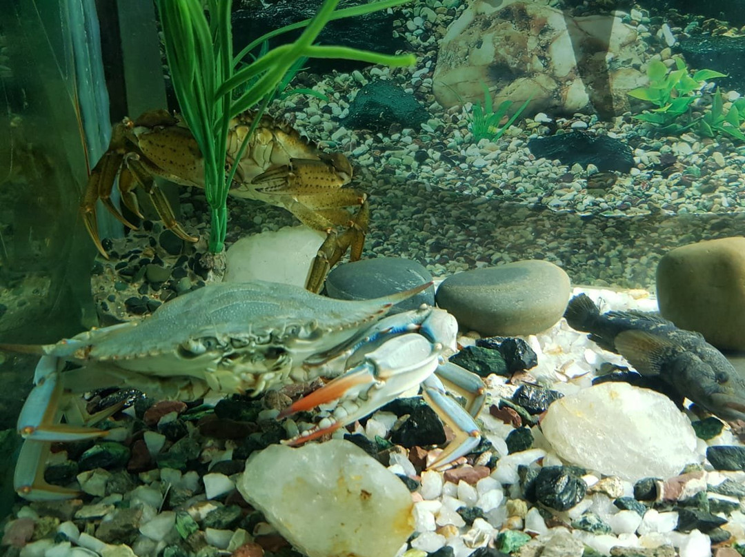 The Black Sea Research Center Bolshoi Utrish-Bolshoy Utrish必去景点