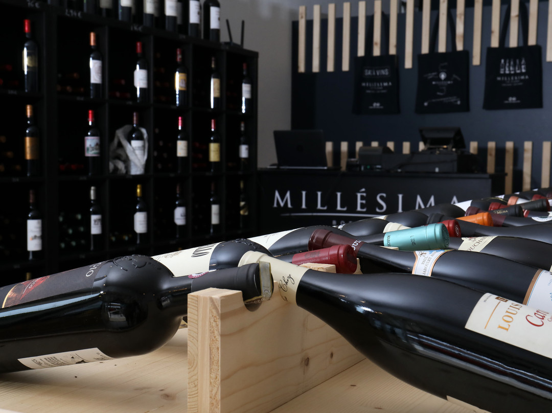 Millesima La Plage-莱格卡弗尔雷必去景点