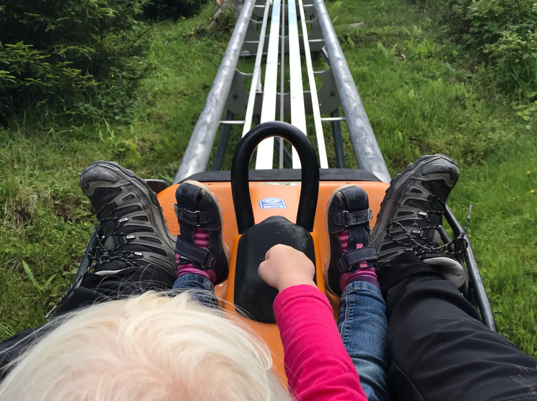 Sommerrodelbahn Rittisberg Coaster-阮绍必去景点