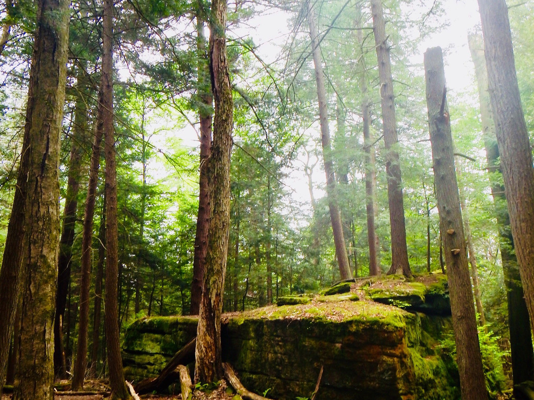 Cooksburg旅游攻略图片