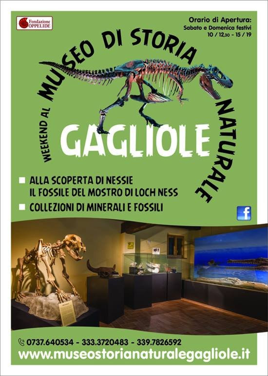 Museo di Storia Naturale Gagliole景点图片
