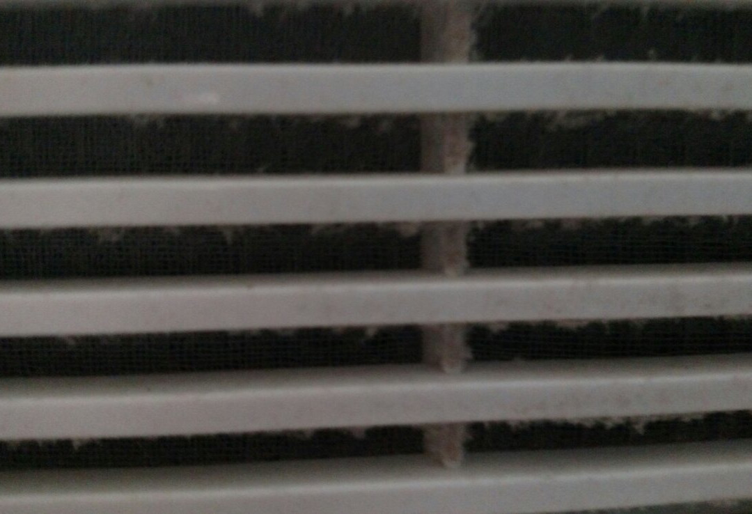 Golden Gate Lodging主图