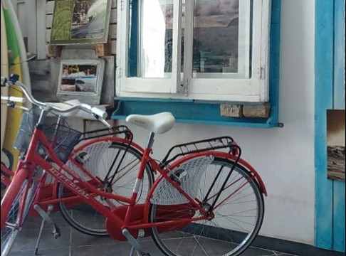 Surf Levanto-莱万托必去景点