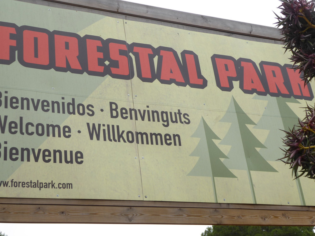 Tirolinas Go! - Mallorca-马洛卡帕尔马必去景点