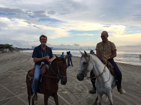 Scarlet Macaw Trips-卡塔赫纳必去景点