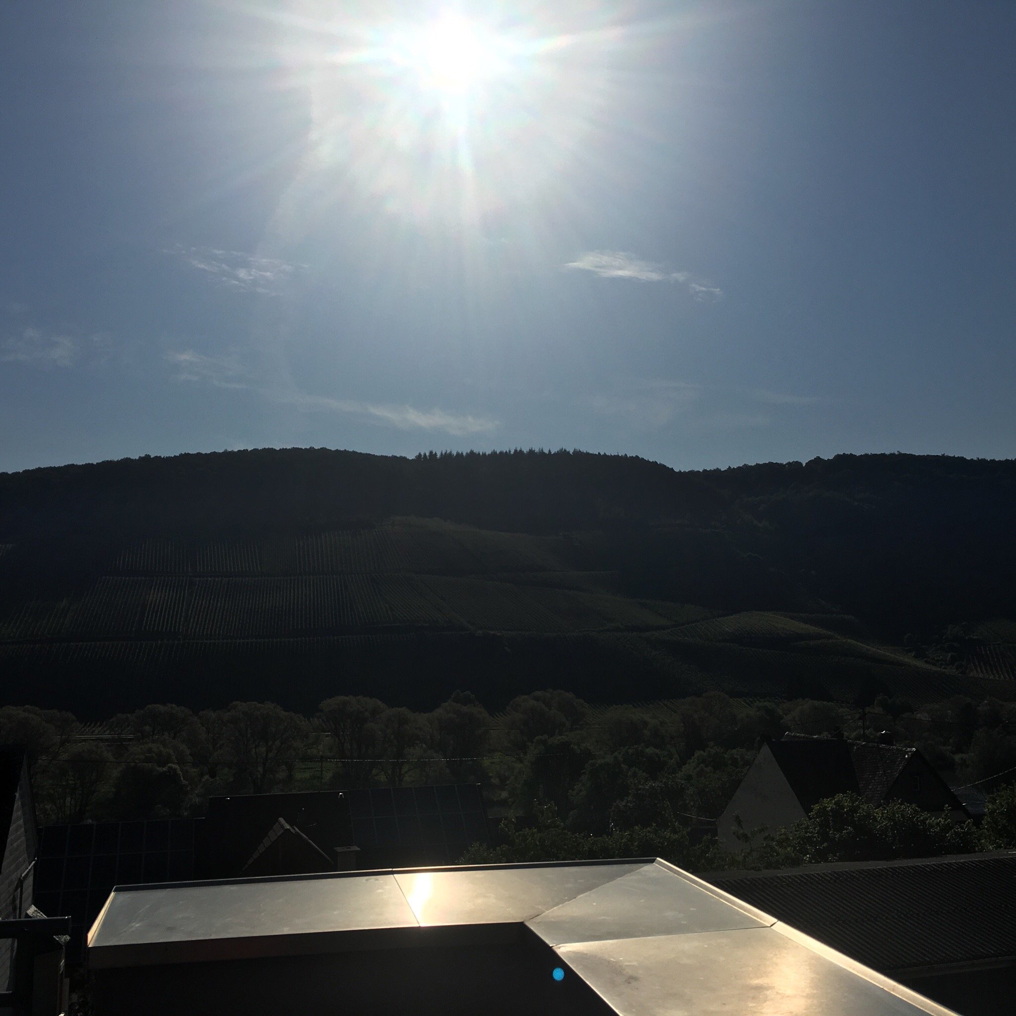 WeinBergHotel Nalbach Reil/Mosel-餐饮