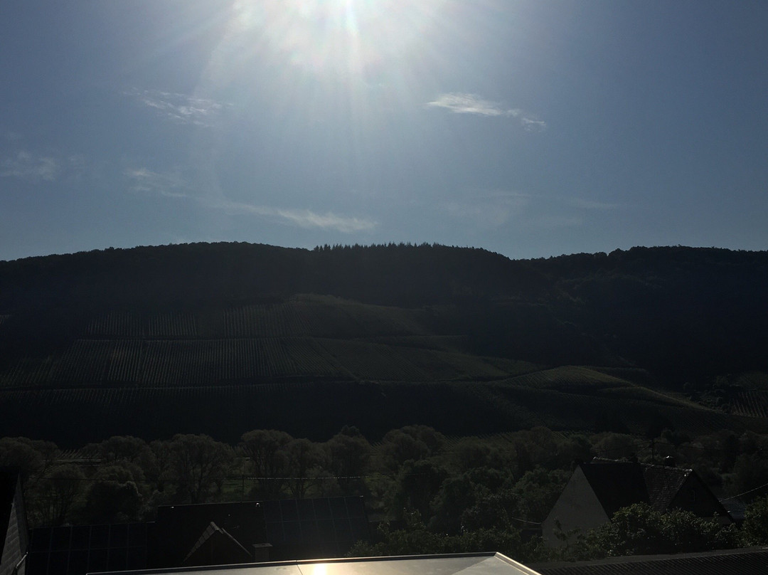 WeinBergHotel Nalbach Reil/Mosel主图