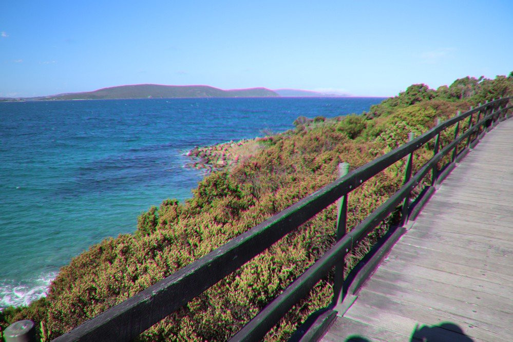 Ellen Cove Boardwalk-奥尔巴尼必去景点