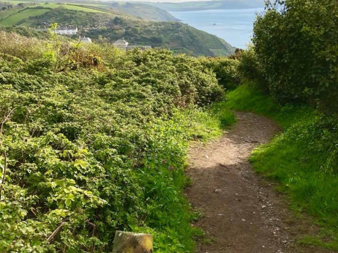 Portloe Harbour景点图片