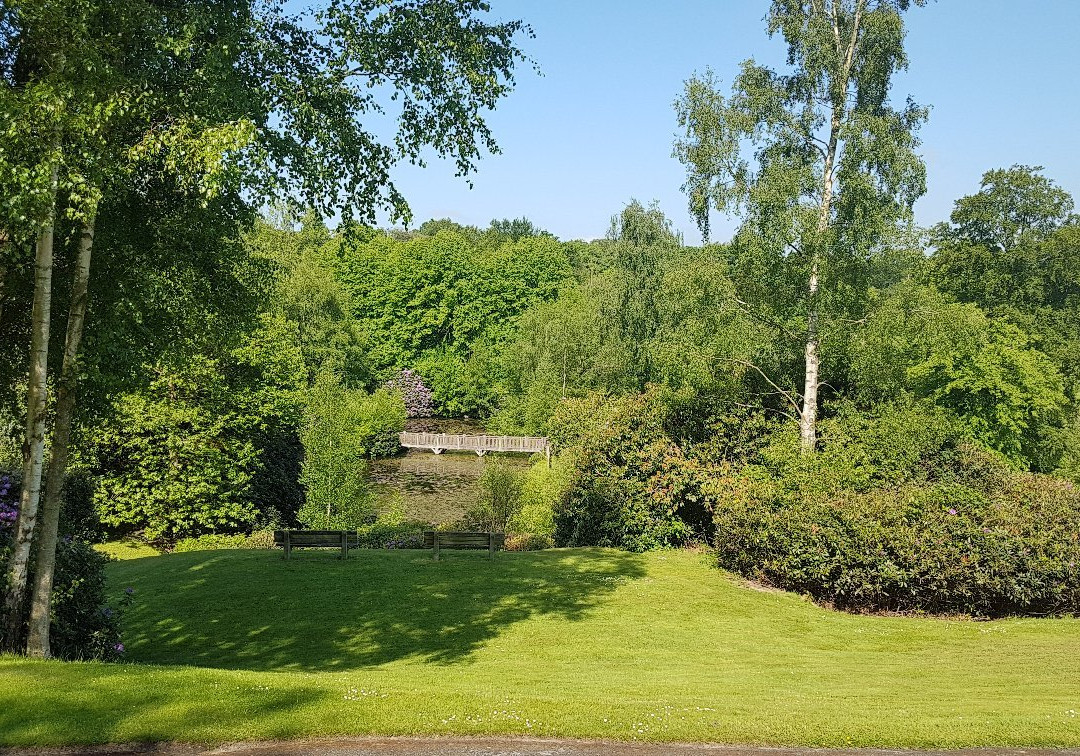 皇室温泉酒店主图