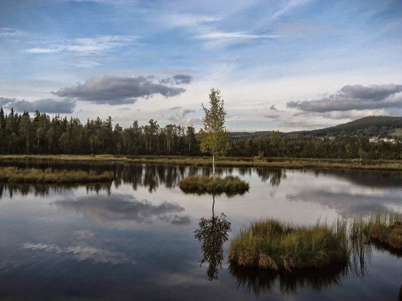 Borova Lada旅游攻略图片