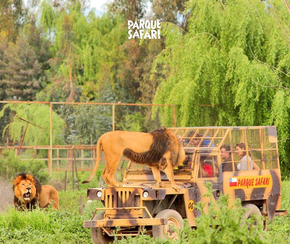 Parque Safari