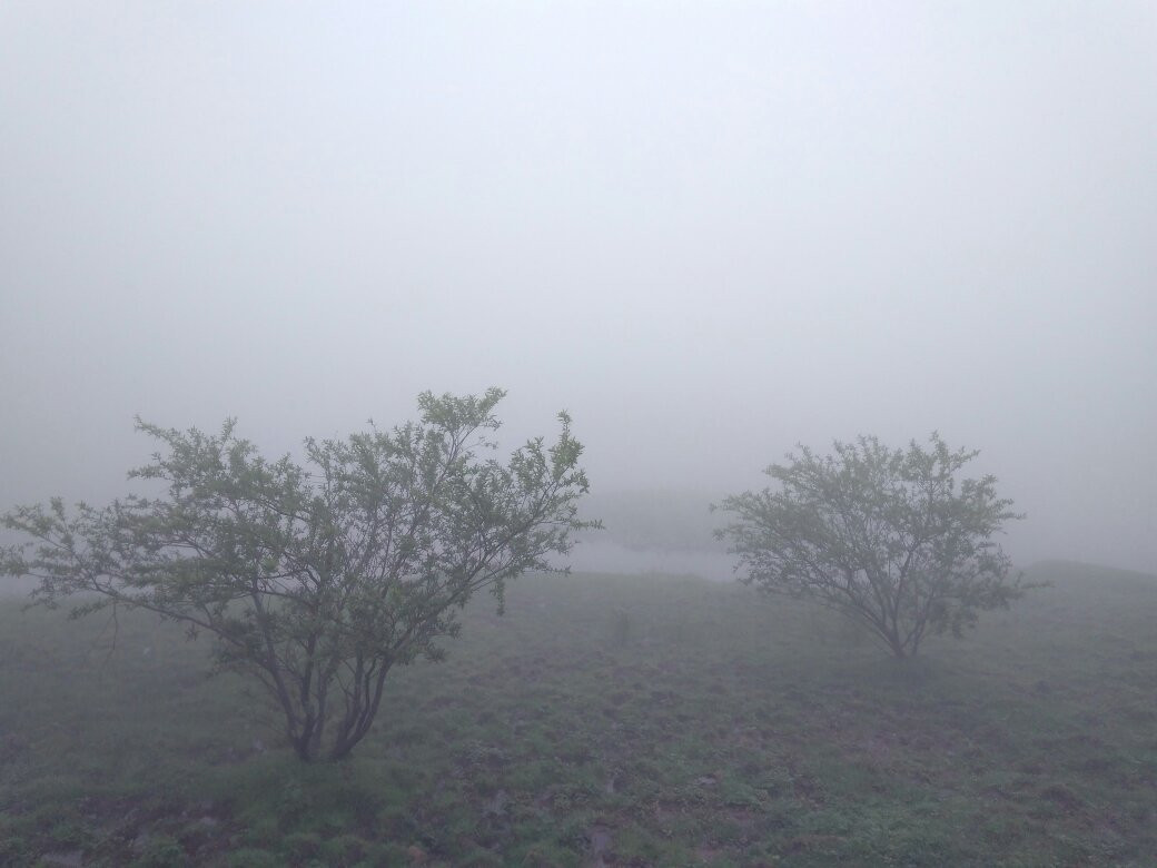 仰天湖草原风景旅游区-宜章县必去景点