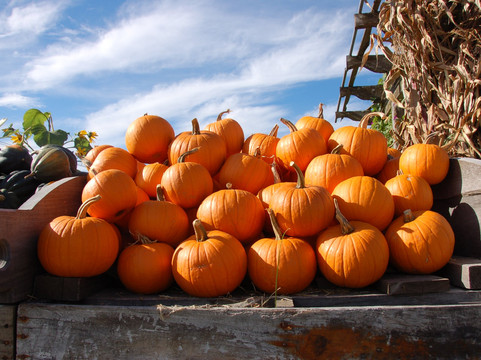 Hudak Farm-Swanton必去景点